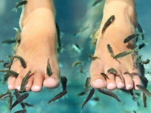 Dr fish spa Amsterdam