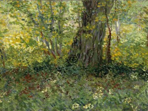 Alberi e sottobosco wikipedia