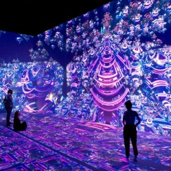 Nxt Museum - Amsterdam: Il museo interattivo dove arte e tecnologia si uniscono