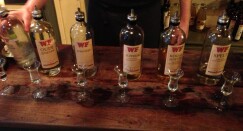Jenever Liquore tipico olandese
