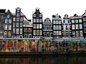 Bloemenmarkt tour