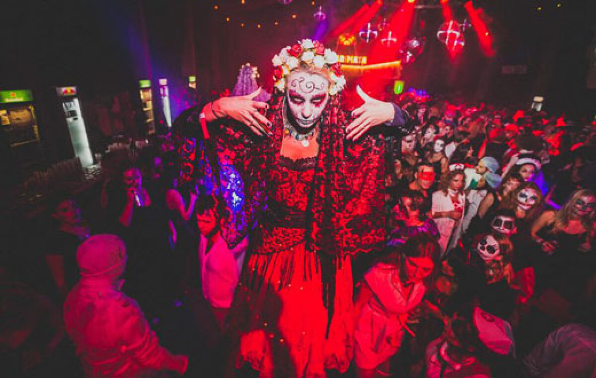 Amsterdam: Offerte e sconti per biglietti salta la coda e tour guidati