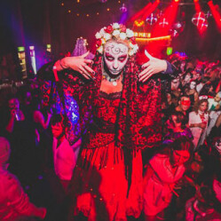 Eventi di Ottobre ad Amsterdam: music festivals, mostre e attrazioni in offerta