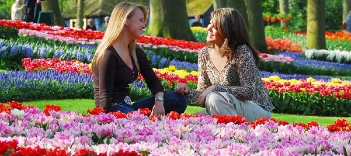 Biglietto ad ingresso prioritario per il Parco Keukenhof - Visita il Parco dei Tulipani di Amsterdam