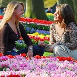 Visita il Keukenhof - Il parco di fiori e tulipani più visitato in Olanda