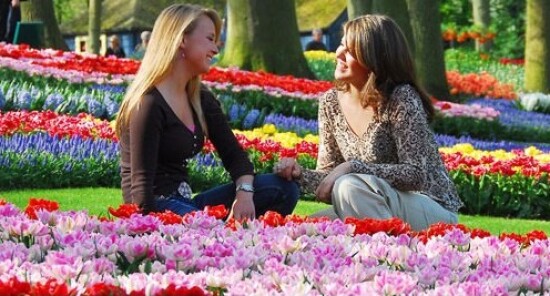 Visita il Keukenhof - Il parco di fiori e tulipani più visitato in Olanda