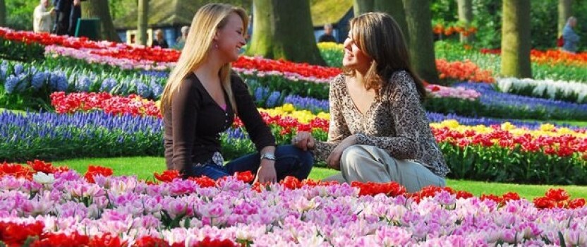 Ammira i tulipani in fiore nel Parco Keukenhof