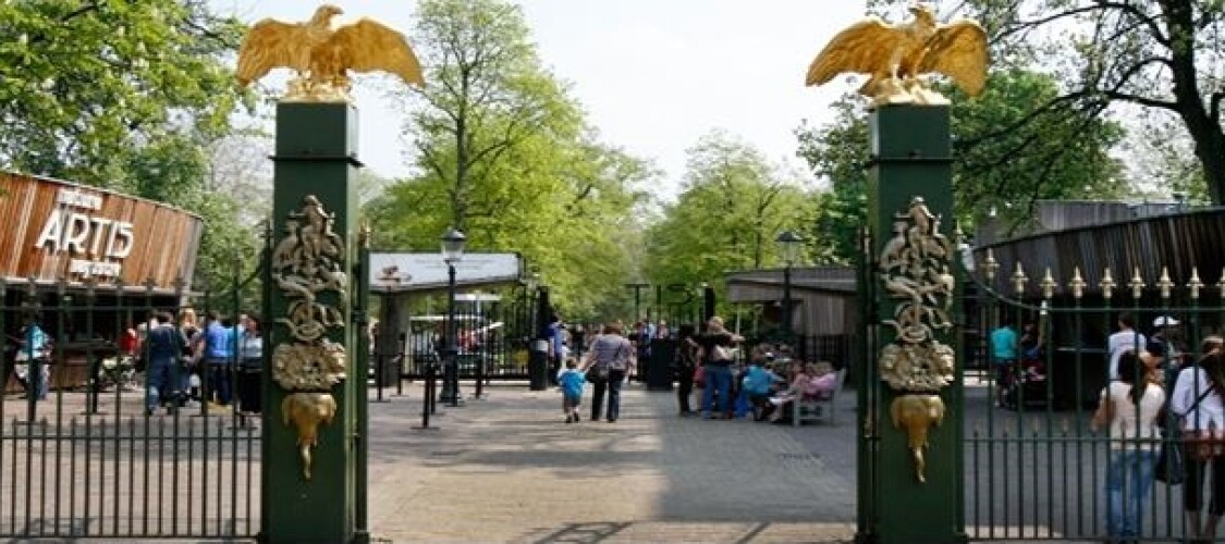 Prenota il biglietto salta la coda per lo Zoo Reale ARTIS