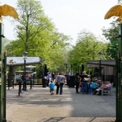 Zoo Reale ARTIS - Visita il giardino zoologico di Amsterdam