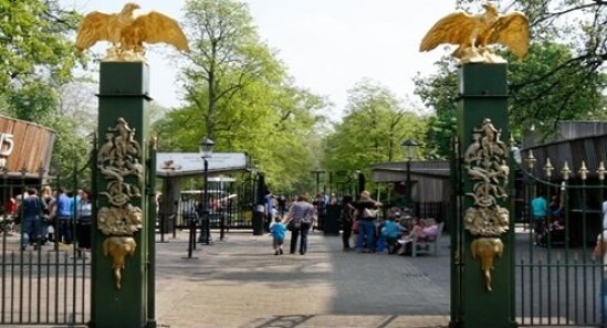 Zoo Reale ARTIS - Visita il giardino zoologico di Amsterdam