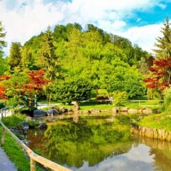 Hortus Botanicus - L'orto botanico di Amsterdam