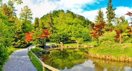 Hortus Botanicus - L'orto botanico di Amsterdam