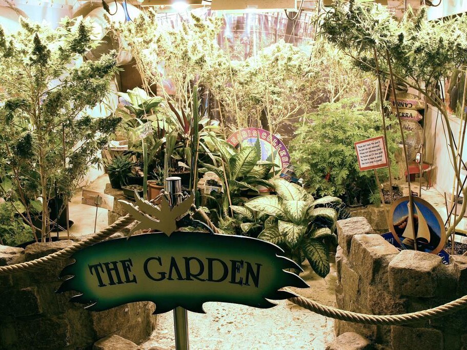 CAnnabis Garden