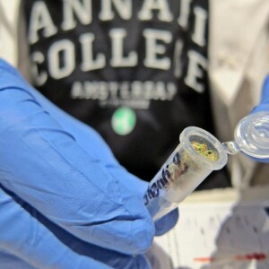 Cannabis College Laboratorio