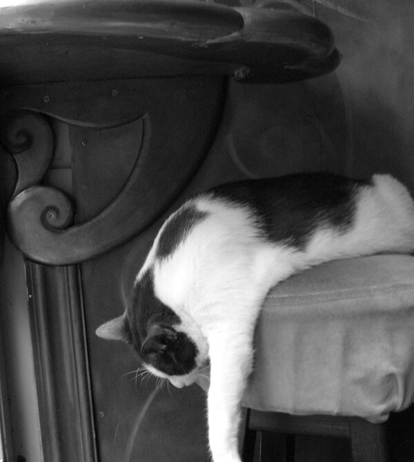 Bowie-Dampkring-Amsterdam