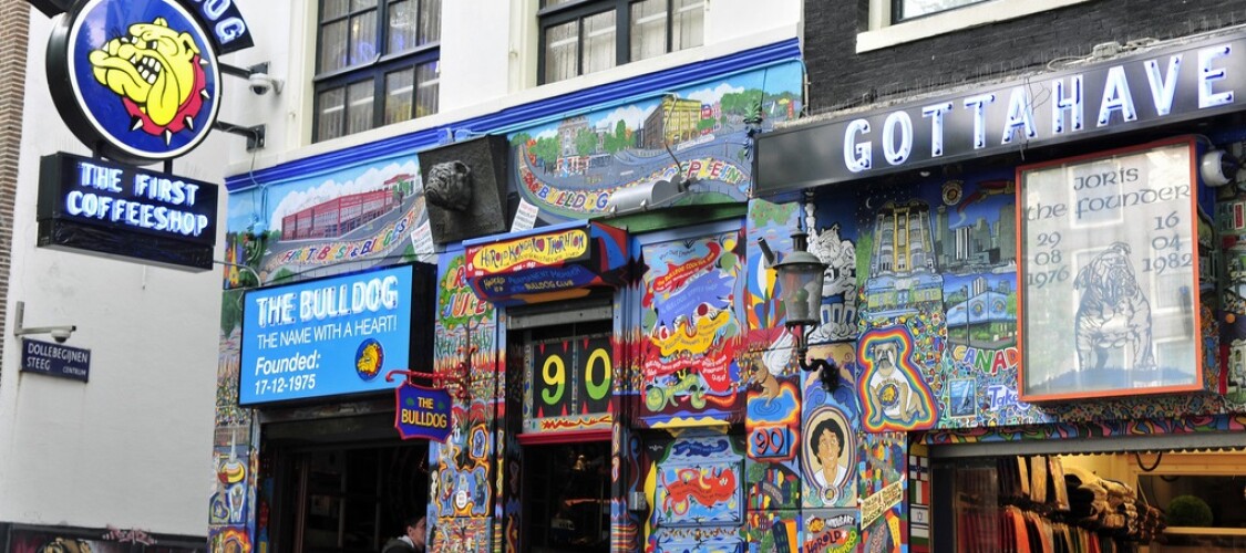 Pruebe los mejores coffee shops en Ámsterdam con  el estimulante Ganja Tour