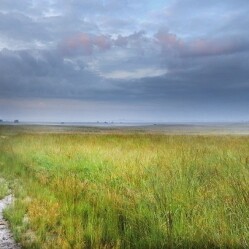 Una giornata al Parco Nazionale De Hoge Veluwe: Fauna, flora e arti creative
