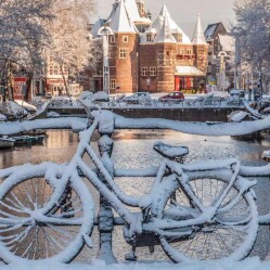 Amsterdam a Dicembre: festival delle luci, mercatini di Natale e appuntamenti al coperto