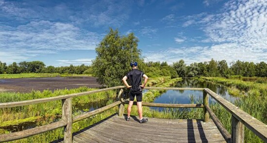 Amsterdamse Bos: La foresta a due passi da Amsterdam