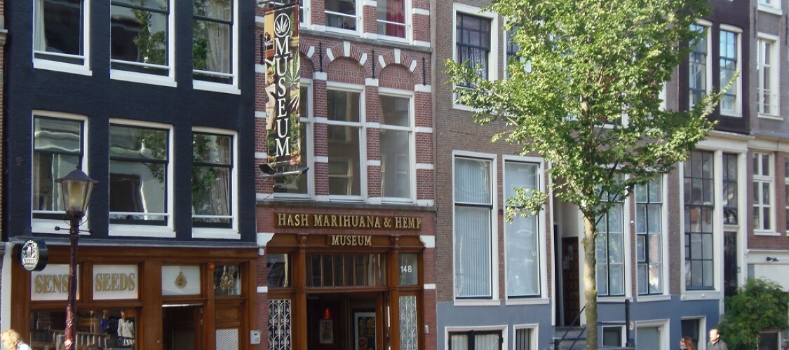 Biglietti per Hash Marihuana & Hemp Museum di Amsterdam con audioguida in italiano