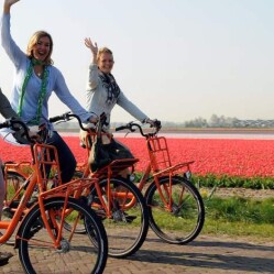 Una giornata a Lisse tra campi di tulipani, tour e castelli