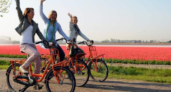 Una giornata a Lisse tra campi di tulipani, tour e castelli