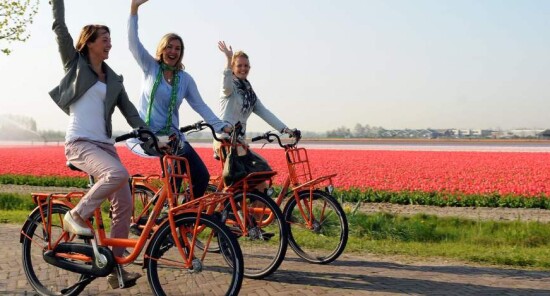 Una giornata a Lisse tra campi di tulipani, tour e castelli