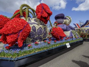 flower parade lisse