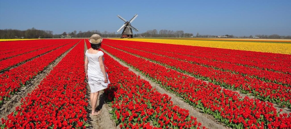 Biglietto salta la coda per Keukenhof - Il Parco dei Tulipani di Amsterdam