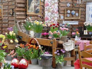 vivaio de tulperij