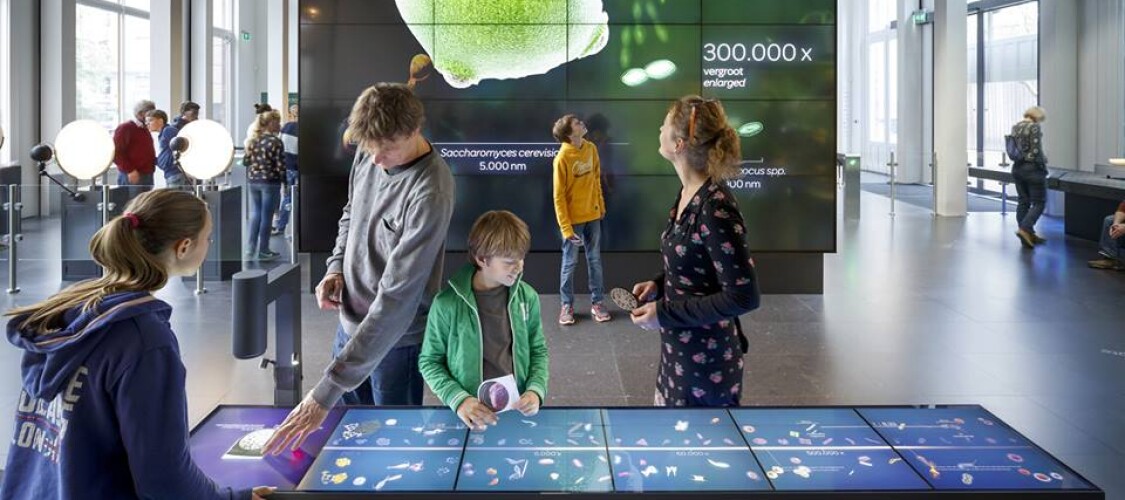 Prenota ora la visita al Museo dei Microbi con ingresso prioritario