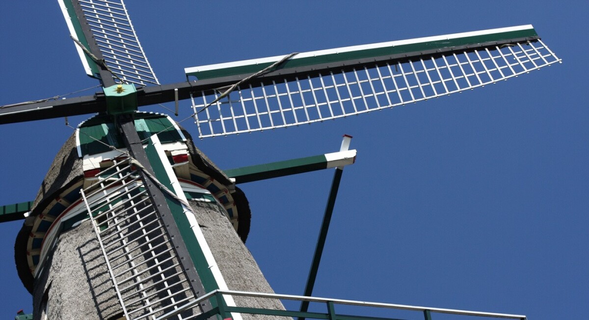 Mangiare e Bere ad Amsterdam: tour gastronomici, birrerie storiche, cucina tradizionale olandese e degustazioni guidate tra i sapori autentici della città