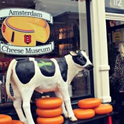 11 Musei insoliti di Amsterdam