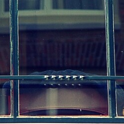 Kattenkabinet: Visita il Museo del Gatto