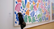 Stedelijk Museum Matisse ekentir via flickr