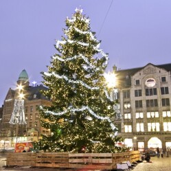 Guida al Natale ad Amsterdam: Mercatini, Amsterdam Light Festival e tante tradizioni olandesi 