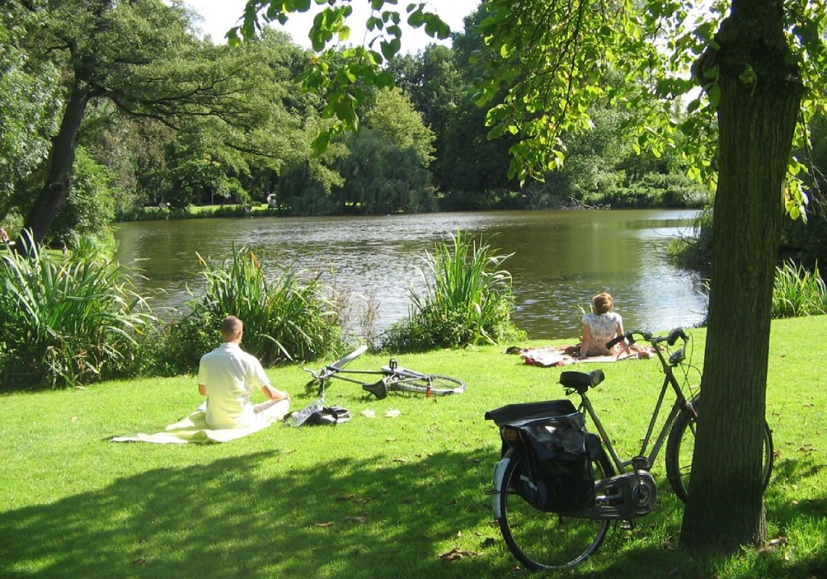 Amsterdam: Offerte e sconti per biglietti salta la coda e tour guidati