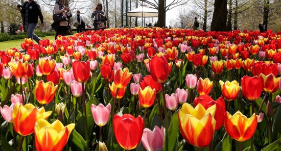 Eventi di Aprile ad Amsterdam: Weekend di Pasqua, Festa del Re e altri appuntamenti