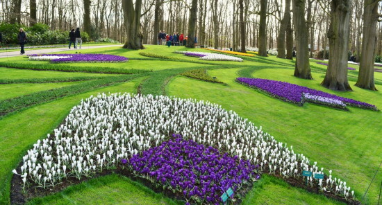Cómo llegar al parque Keukenhof desde Ámsterdam
