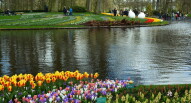 15 Keukenhof laghetto