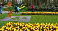 24 Keukenhof tulipani