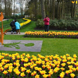 Parco Keukenhof 2026 - Domande frequenti (F.A.Q.)