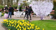 25 Keukenhof installazione