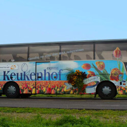 Come arrivare al parco Keukenhof partendo da Amsterdam