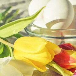 Cosa fare a Pasqua 2025 ad Amsterdam