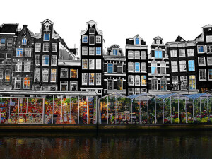 mercato fiori amiche