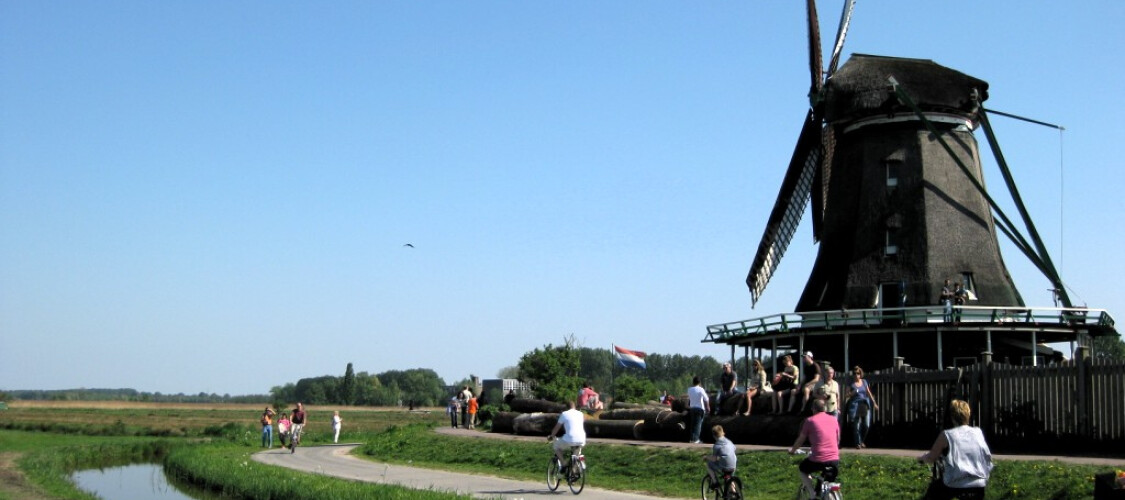 Tour in Bicicletta fuori Amsterdam della campagna olandese