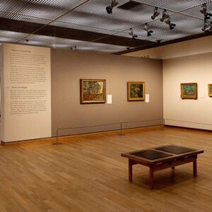 crociera e museo vangogh