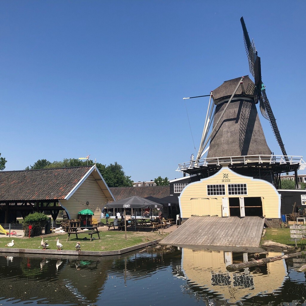 Foto via facebook.com/MolenDeSterUtrecht