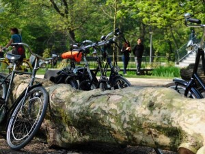 Vondelpark Bici